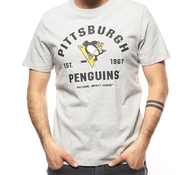 30600 Футболка Pittsburgh Penguins, сер., (ТМ ATRIBUTIKA&CLUB)